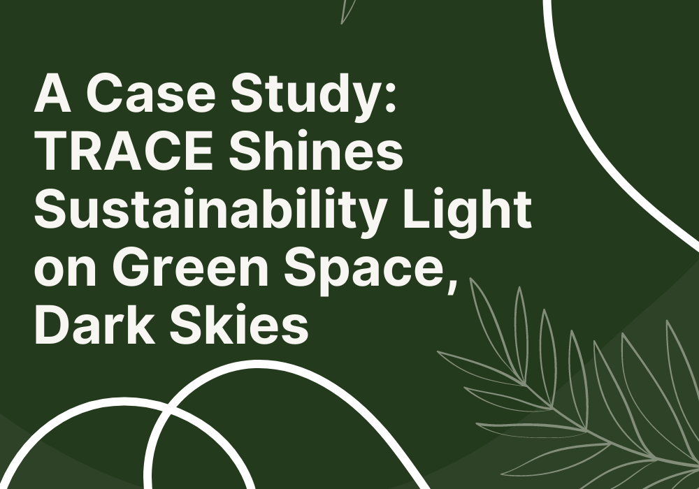 A Case Study: Green Space: Dark Skies Shining the Spotlight on Outdoor Event Sustainability image